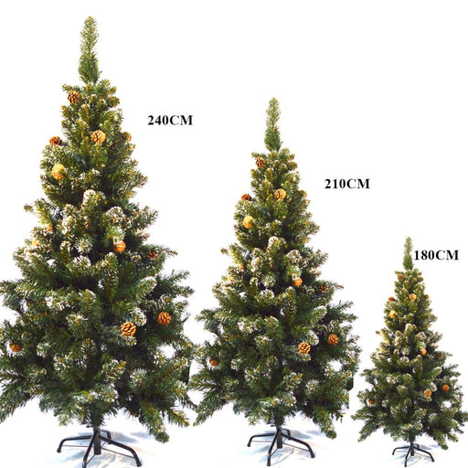 Christmas Tree,  Xmas Pine Tree